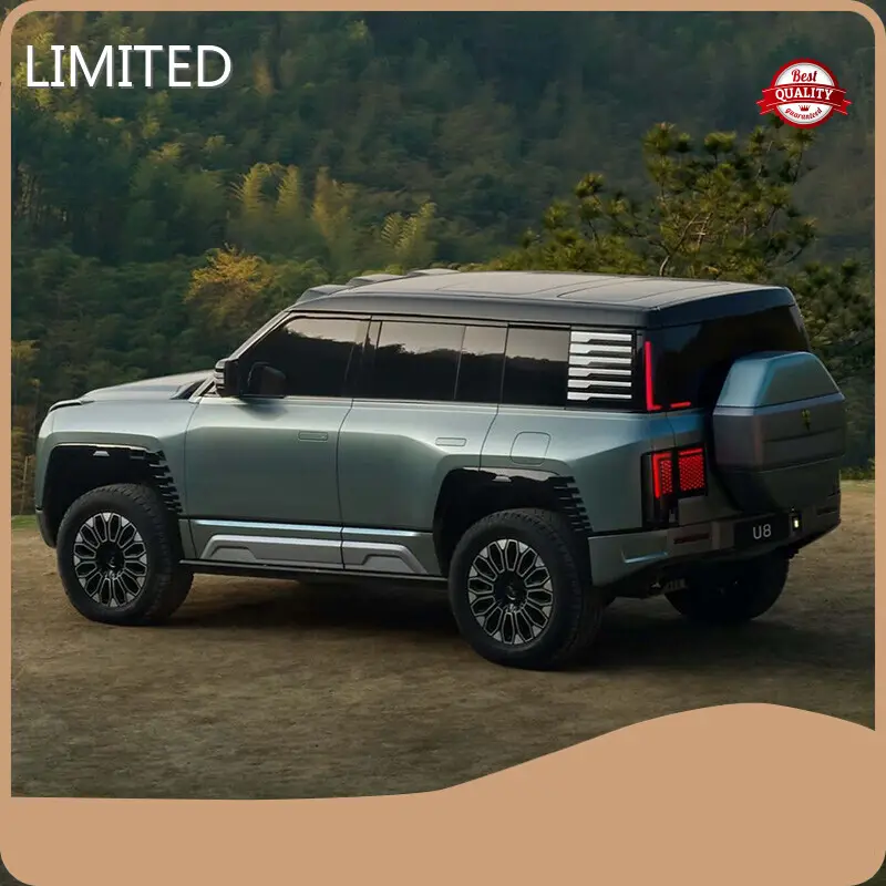 OEM Pure Electric Suv E-YUAN 1