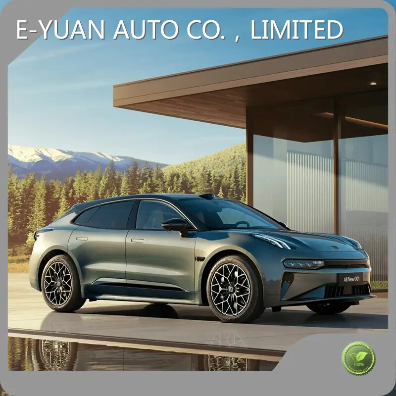 OEM All Electric Car Manufacturers E-YUAN-1 1
