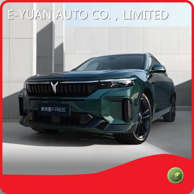 Major Electric Car Manufacturers Made in China Company E-YUAN 1