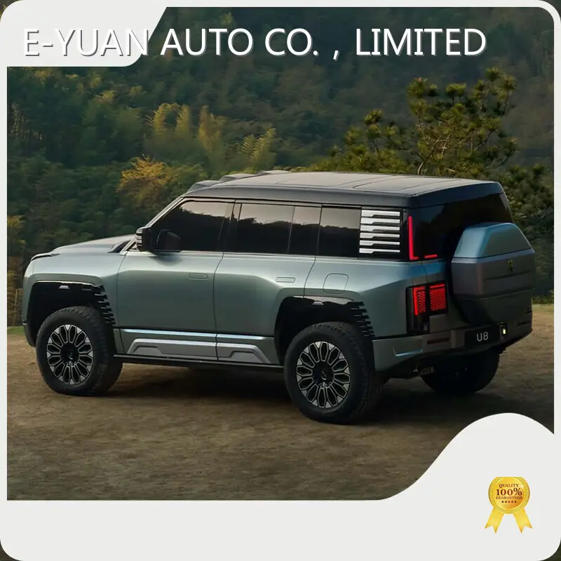 Oem & Odm New Energy Vehicle E-YUAN Brand 1