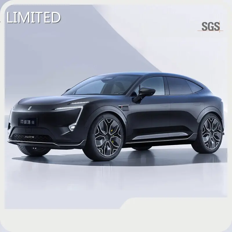 Hot the Best Electric Suv E-YUAN Brand 1