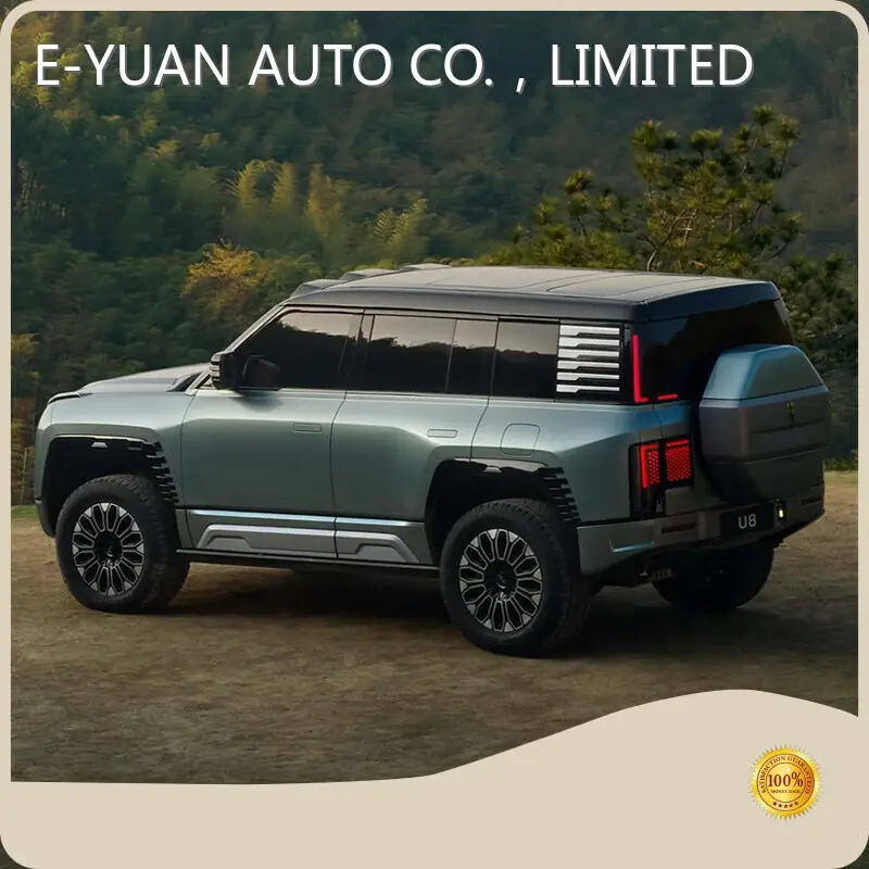 E-YUAN Pure Ev Factory Best Supplier 1