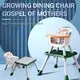 Chair Highchair YYKJ-002 - - Doublecare 2