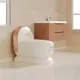 Wholesale Training Toilet Potty Doublecare Brand 4