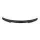 Carbon Fiber Car Parts by RD Carbon 2