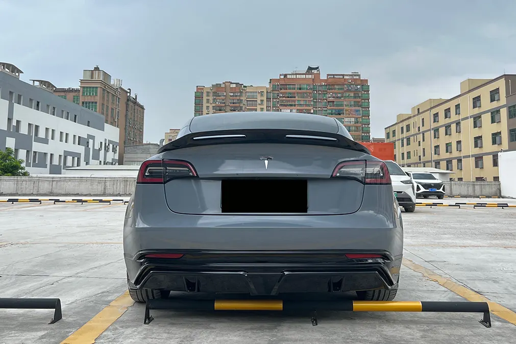 OEM Auto Modification Parts RD Carbon 5