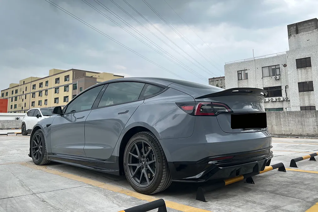 OEM Auto Modification Parts RD Carbon 6