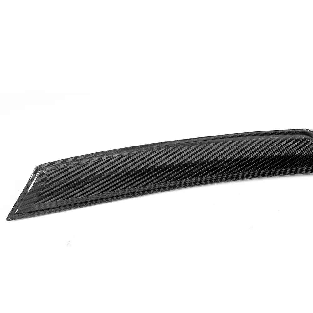 Custom Auto Modification Parts RD Carbon 6