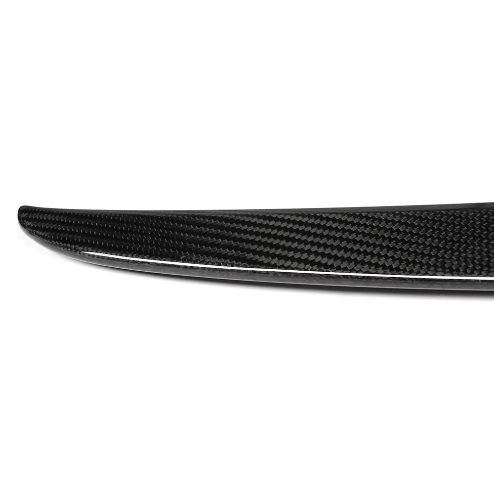 Custom Tesla Mirror Cover RD Carbon 4