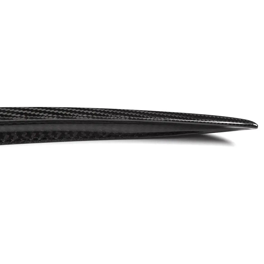 Custom Tesla Mirror Cover RD Carbon 6