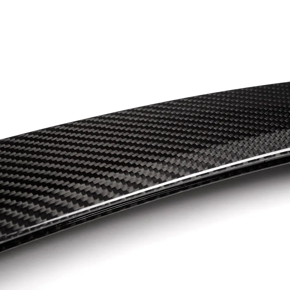Custom Tesla Mirror Cover RD Carbon 5