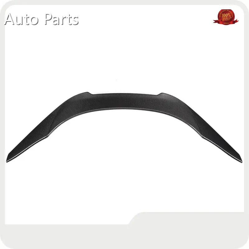 Hot Carbon Fiber Auto Parts RD Carbon Brand 1