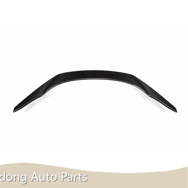 Carbon Fiber Auto Parts RD Carbon Brand-1 1