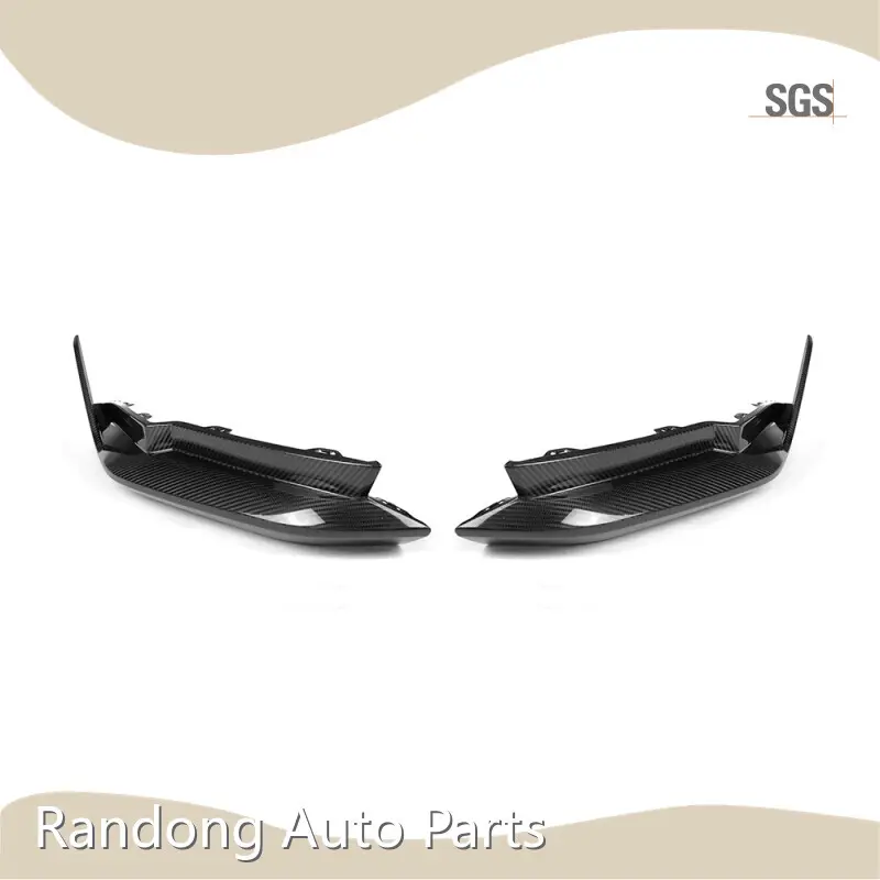 Auto Modification Parts RD Carbon, 1