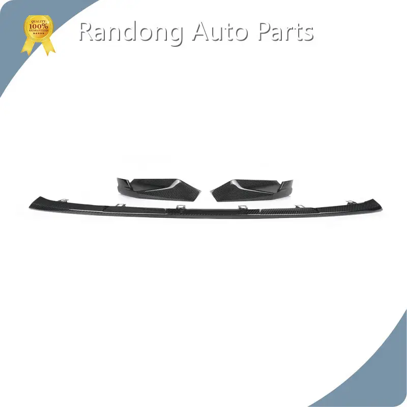 OEM Aero Auto Parts RD Carbon 1