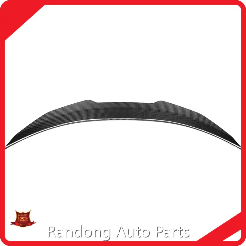 Custom Carbon Fiber Car Parts RD Carbon 1