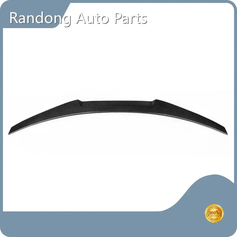 Aero Kits for Cars Wholesale - RD Carbon 1