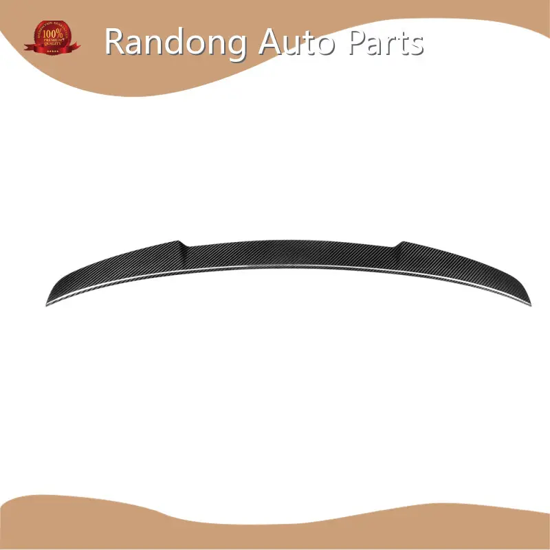 Carbon Fiber Car Parts by RD Carbon 1