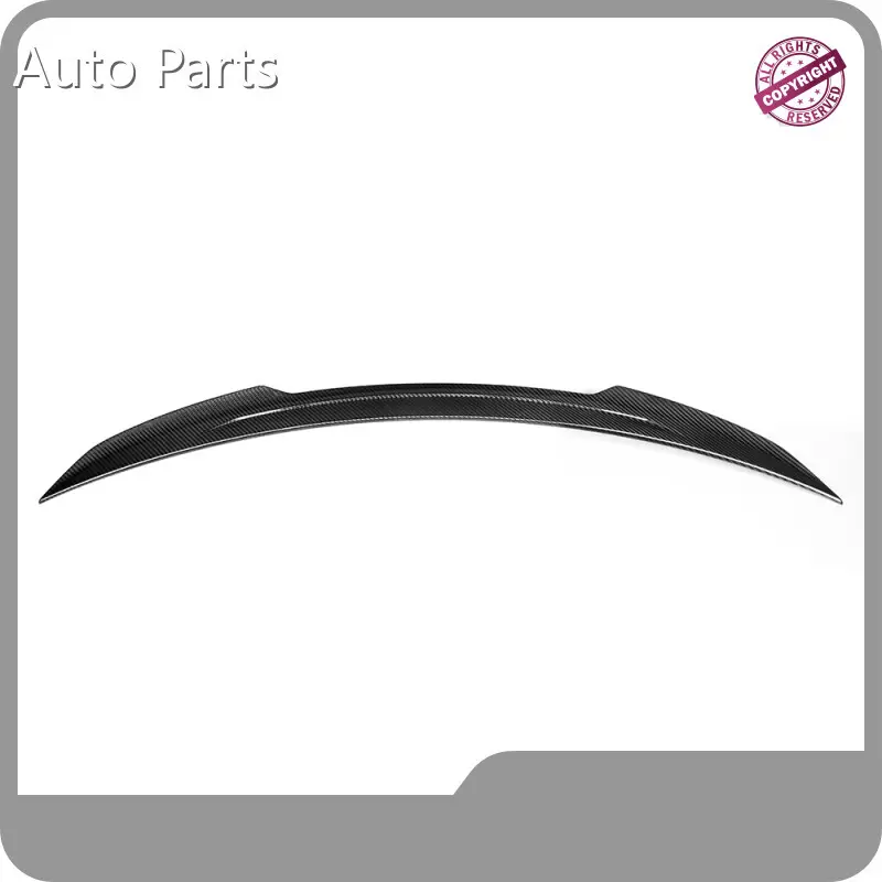 Custom Car Aero Parts RD Carbon-1 1