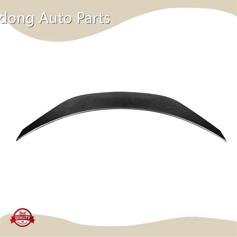 Car Modification Parts by RD Carbon 1