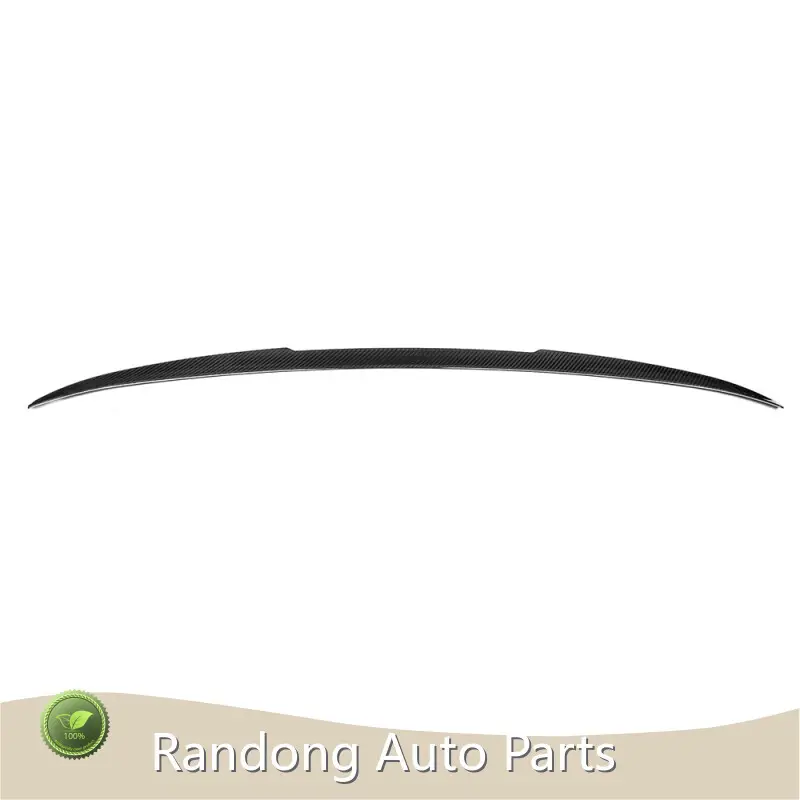 Carbon Fiber Parts Manufacturer RD Carbon Brand-1 1
