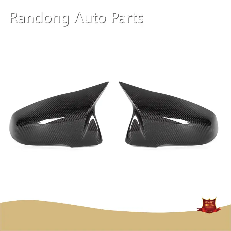Z4 Carbon Fibre Parts RD Carbon, 1