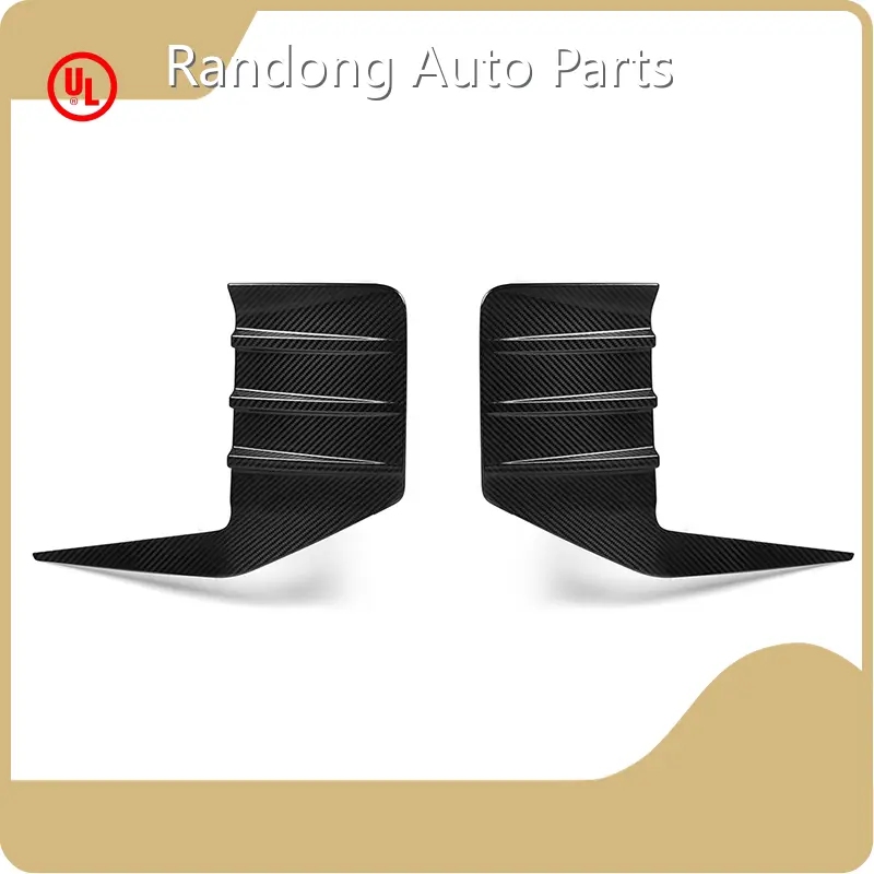 Wholesale Bmw Body Parts RD Carbon Brand 1