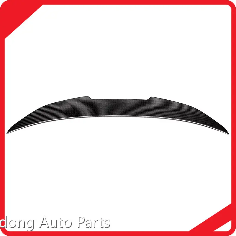 Custom Car Aero Parts RD Carbon-2 1