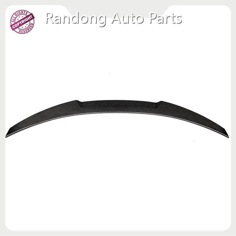 Bmw Rear Diffuser RD Carbon 1