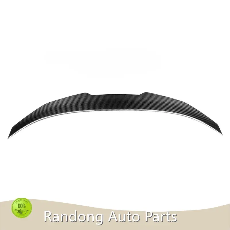 RD Carbon Brand Bmw Side Skirts Supplier 1