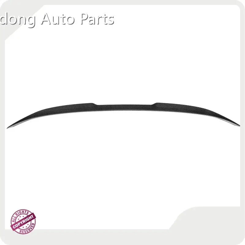 Bmw M2 Carbon Parts RD Carbon 1