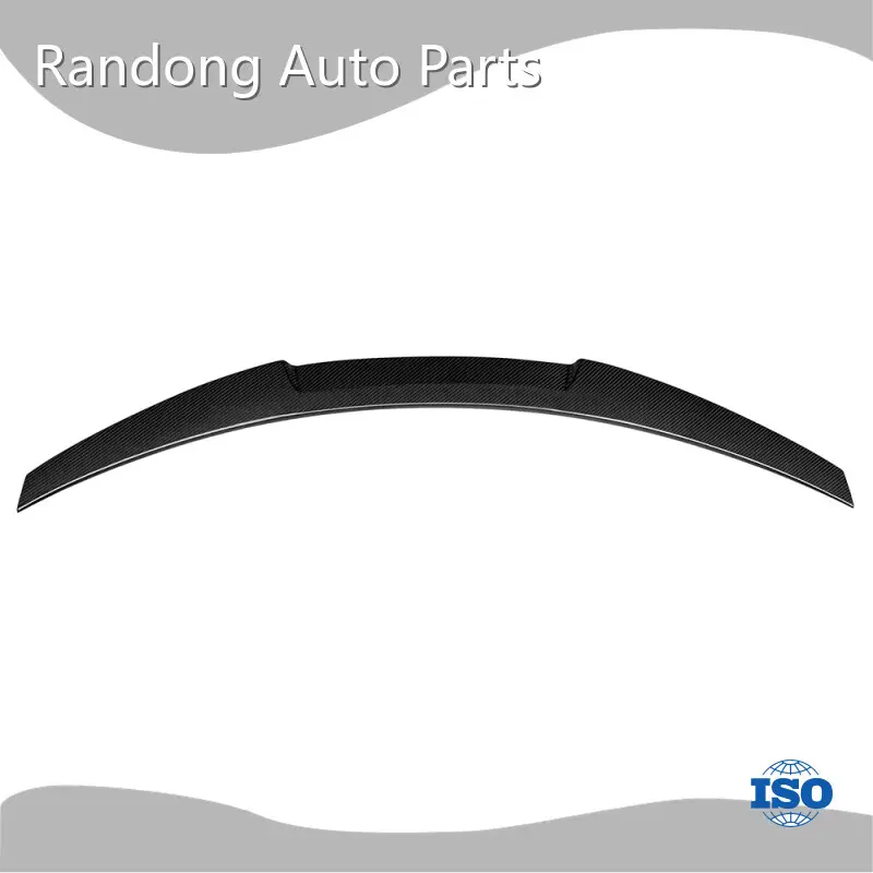 Wholesale Bmw Carbon Fiber Lip RD Carbon Brand 1