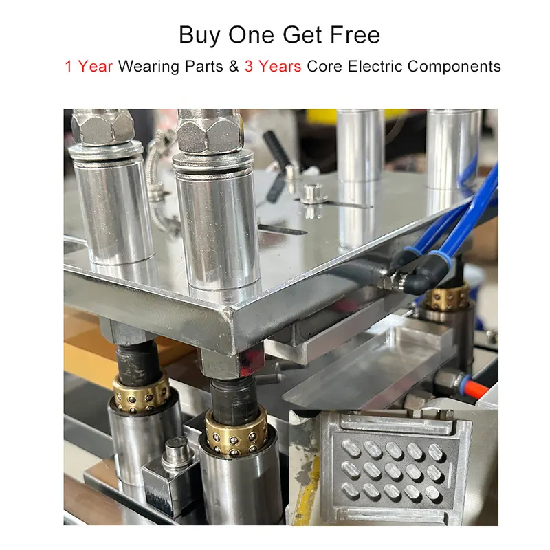 Macchina confezionatrice automatica per blister Produzione di macchinari urbani 5