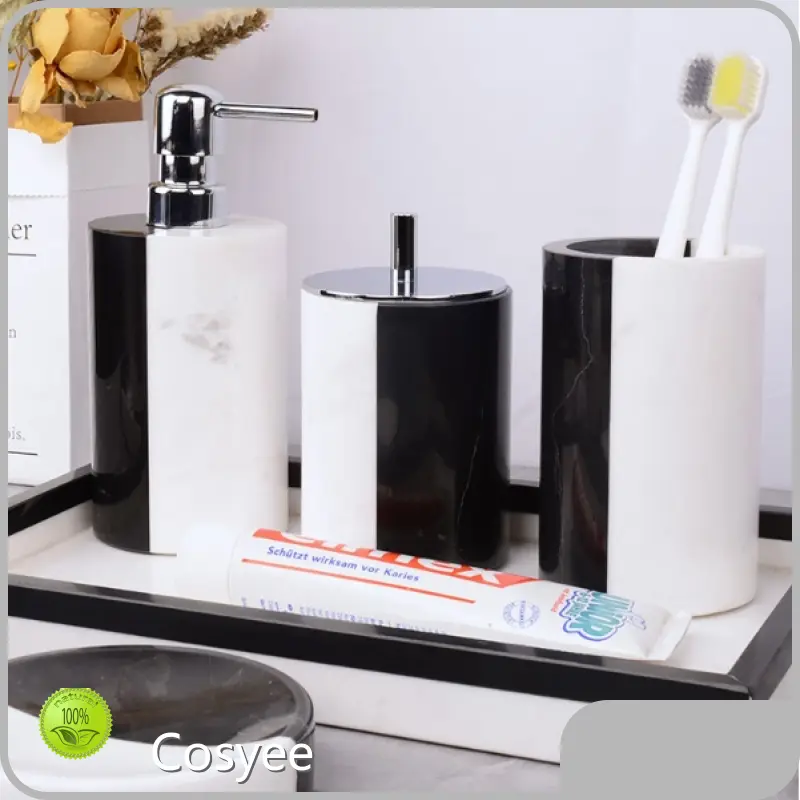 Ceramic Foaming Soap Dispenser Wholesale - Cosyee 1