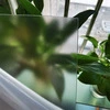 Polycarbonate Sheet Frosted - ကုမ္ပဏီ - Mclpanel 5