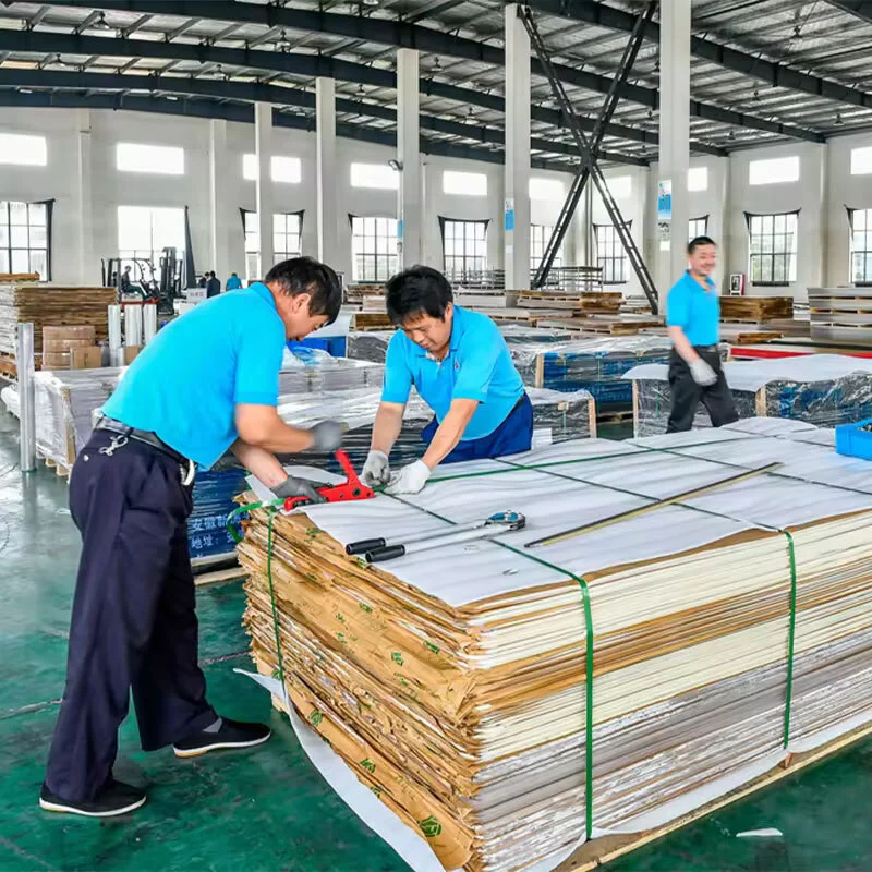 Pratik Solid Polycarbonate Sheet Koulè Lis Pri 6