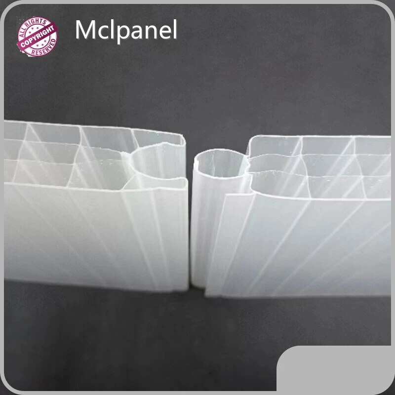 Ukukhiqizwa Kweshidi Le-Polycarbonate Ngobuningi elingabizi kakhulu 1
