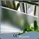 Mclpanel Frosted Greenhouse Panelsdesign បន្ទះផ្ទះកញ្ចក់សាយ 1
