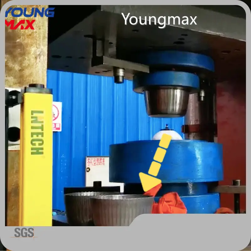 Home Appliance Manufacturing Machinery 75days - - Youngmax 1