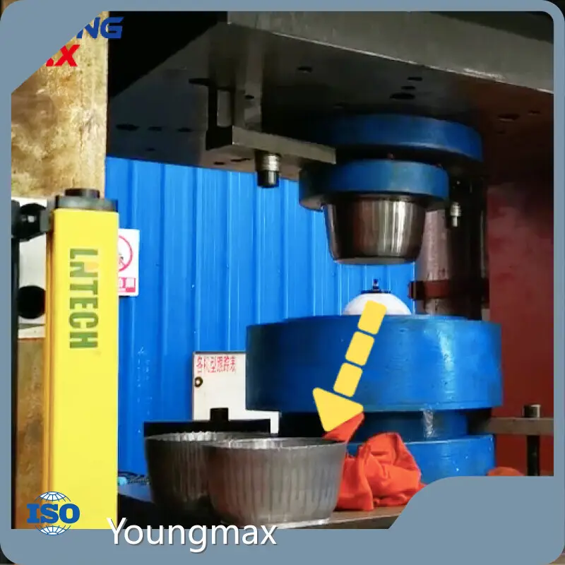 Heavy Duty Hydraulic Press Machine by Youngmax-1 1