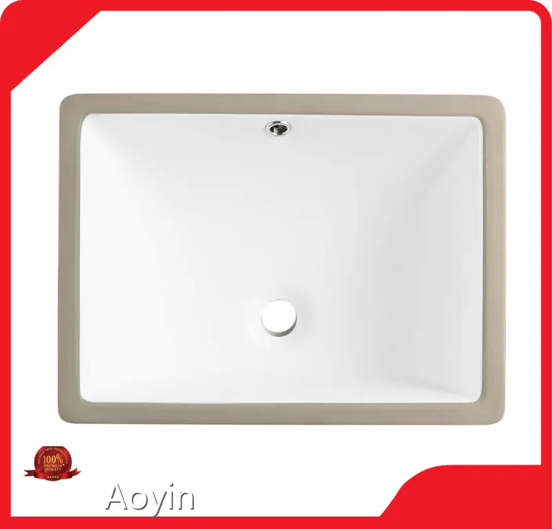 Cost-effective Commercial Undermount Sink Customized for House 1