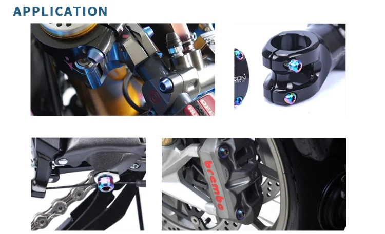 Fabricante de sujetadores Tornillo de motocicleta de titanio de grado 5 personalizado 13