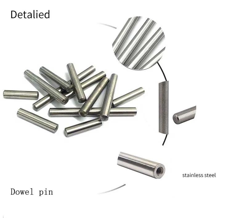 Dowel Pin 304 Stainless Steel Cylindrical Shelf Pin M2 M3 M4 M5 Dowel Pin 8