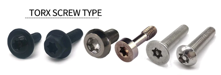Stainless Steel 304 316 Torx Bolt Flange Head Hexagon Socket Tox Screw 4