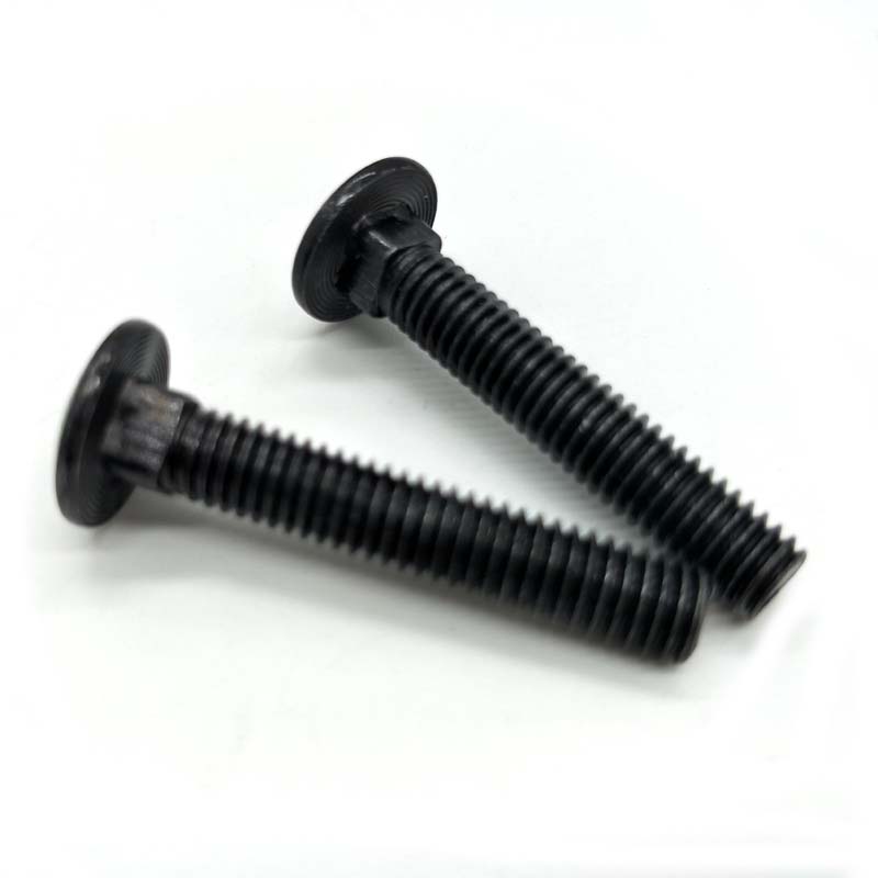 Black oxide carriage bolt with square neck 1