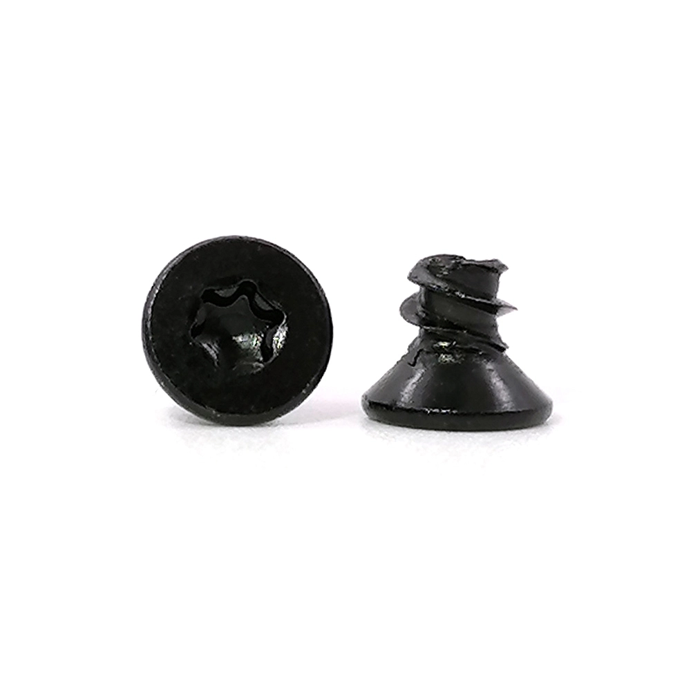 Proveedor calificado Micro tornillo negro Mini tornillos Torx 1