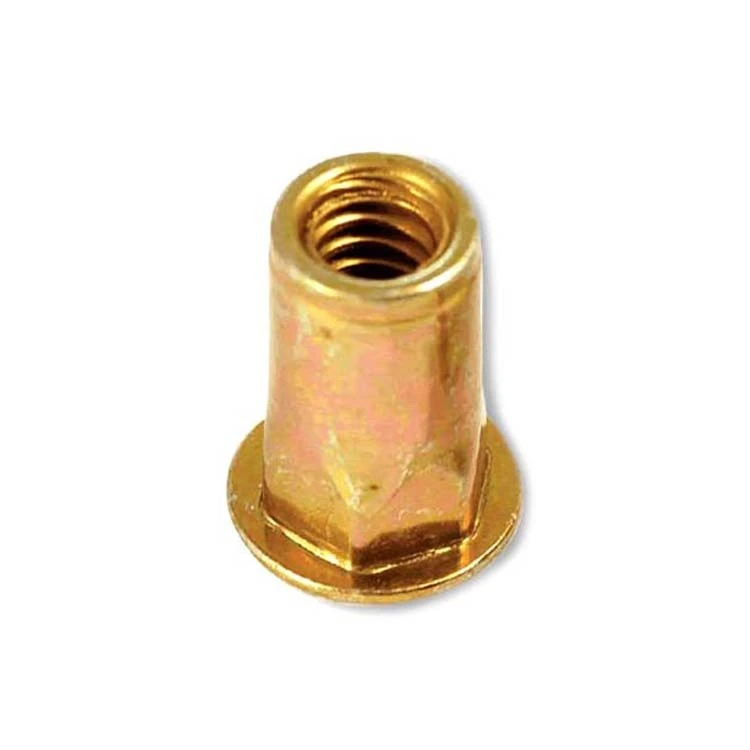 China wholesale stainless steel insirt threaded riveting nut m5 Hexagonal head blind rivet nut 1