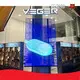 Transparent Led Wall Price Lecede Brand 20-30 Working Days P2.6 P2.8 P3.9 1