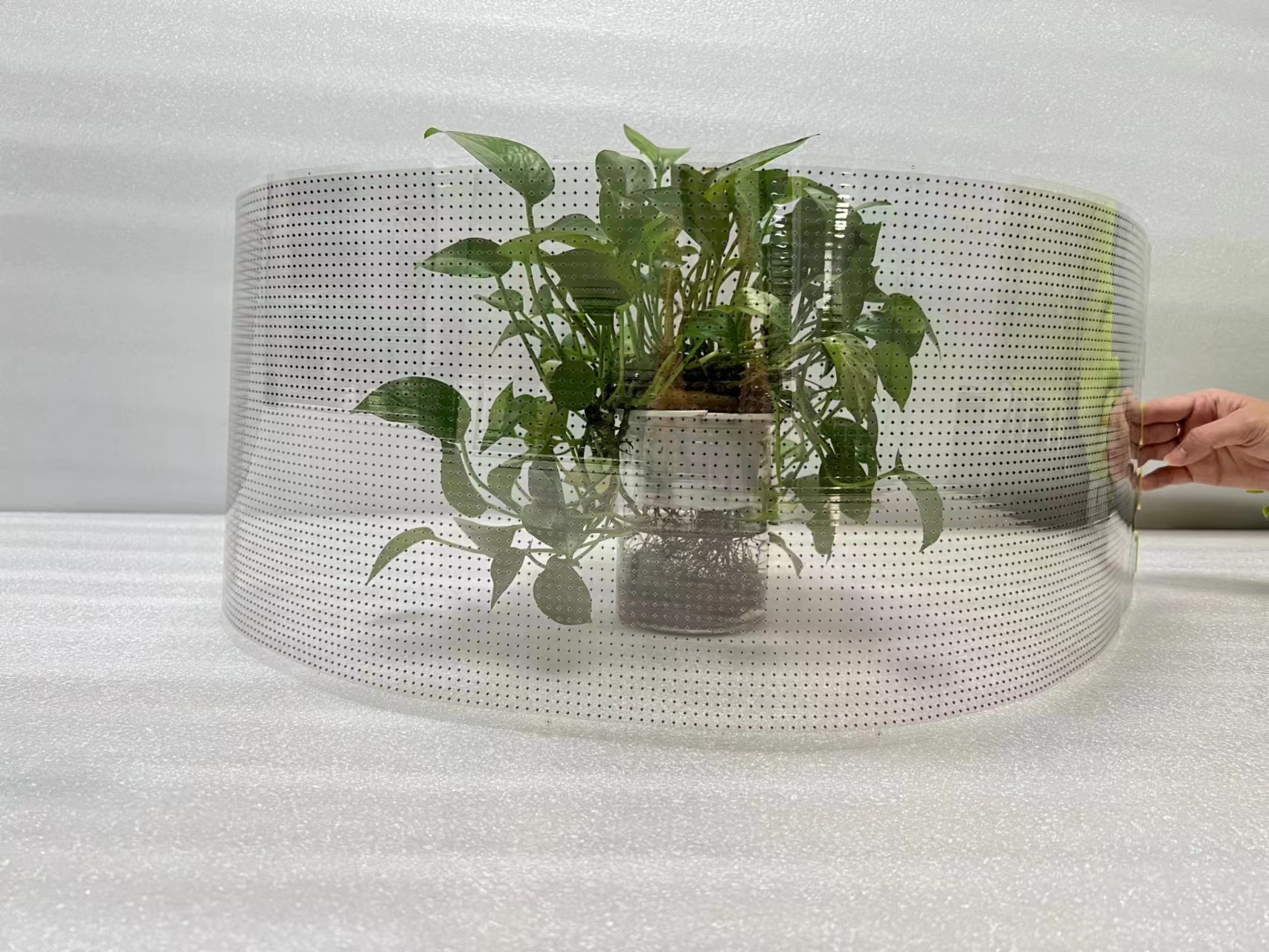 Lecede INDOOR Flexible Transparent LED Display Film pubblicitario Schermata P6 P8 P10 3