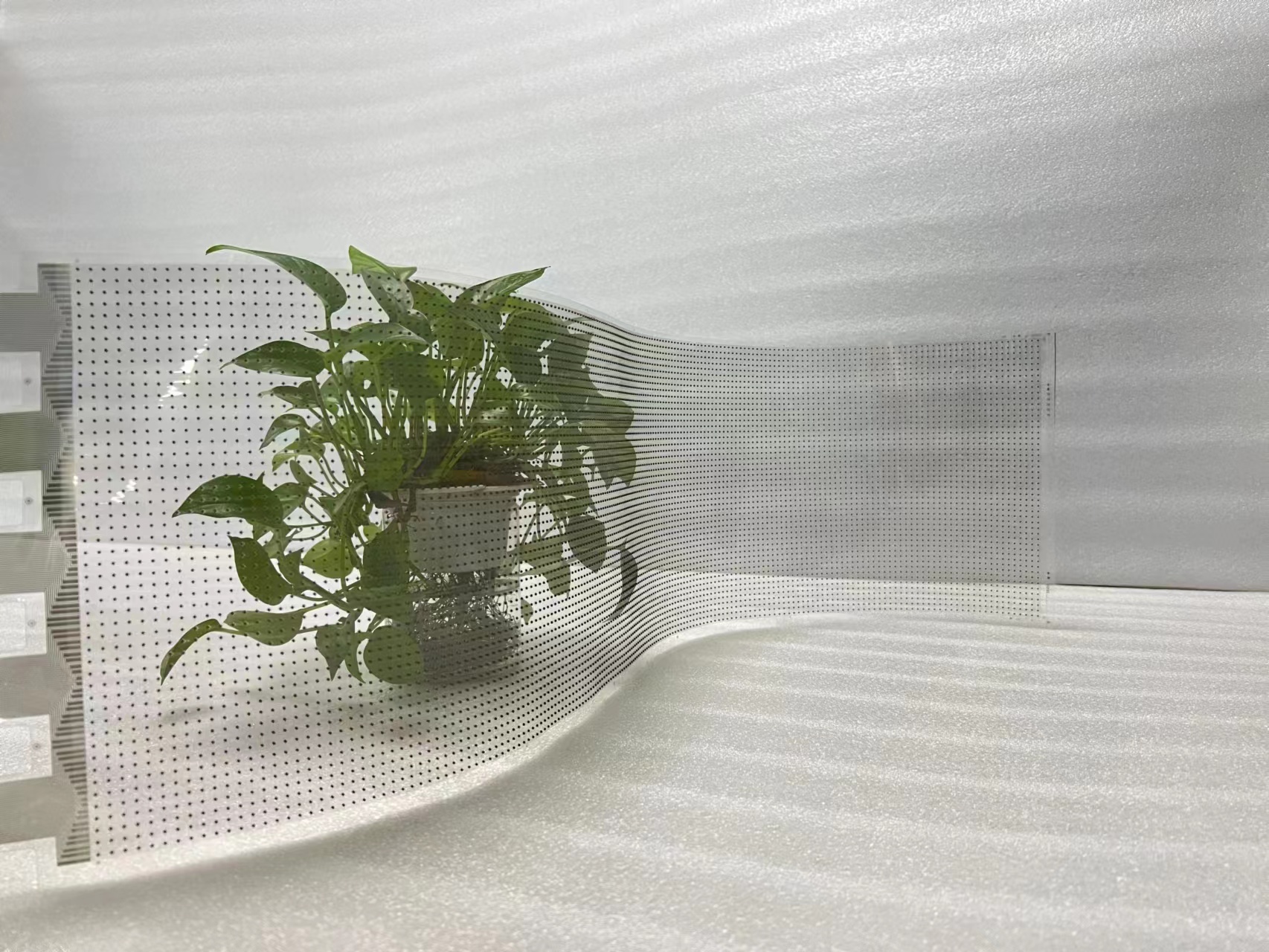 Schermo di pellicola a LED flessibile trasparente tende esterno in vetro 7
